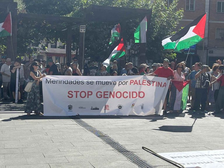 manifestacion-palestina-medina-de-pomar-768x576