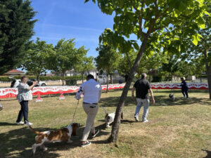 medina-de-pomar-renueva-el-convenio-de-colaboracio