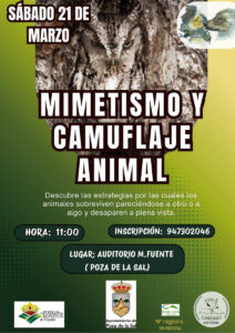 mimetismo-y-camuflaje-animal