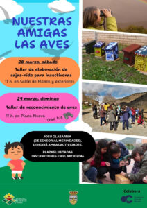 nuestras-amigas-las-aves