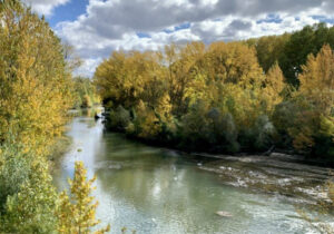 quintanaseca-restaurara-las-riberas-del-ebro-para-