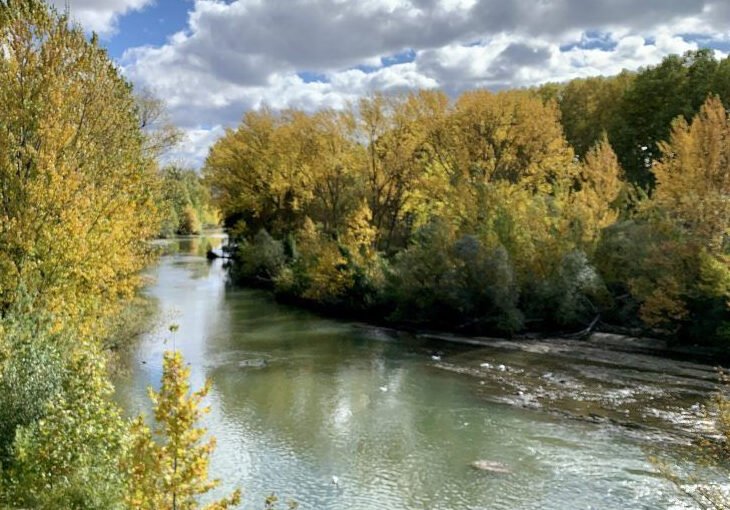 quintanaseca-restaurara-las-riberas-del-ebro-para-
