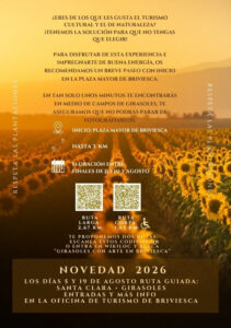ruta-girasoles-en-la-bureba