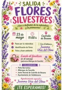 salida-flores-silvestres