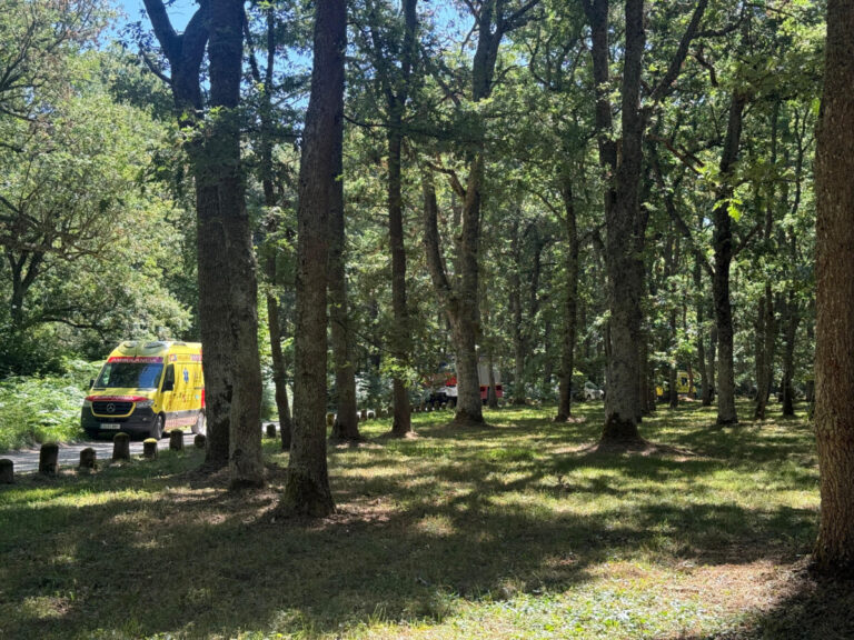suspendida-la-btt-los-monteros-tras-un-accidente-d