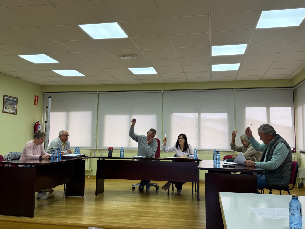 tobalina-continua-con-recortes-a-asociaciones-y-pe