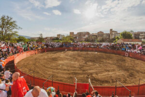 toros-puerta-grande-organizara-los-festejos-taurin