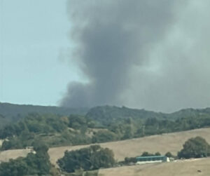 un-incendio-con-dos-focos-afecta-al-monte-de-arza-